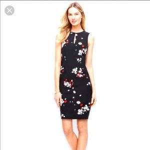 Ann Taylor Floral Sheath Midi Dress